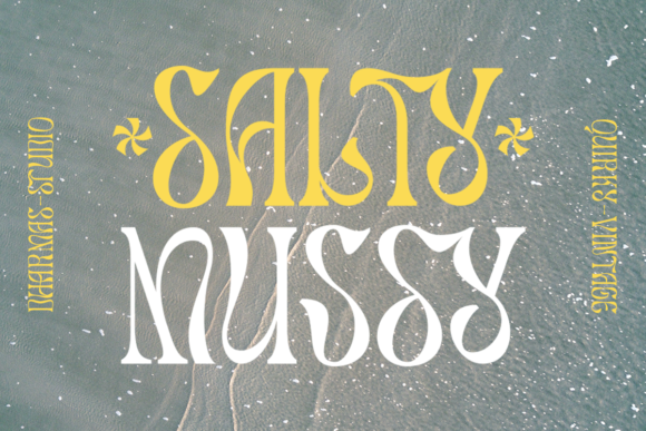 Salty Mussy: A Stylish Display Font for Modern Workflows
